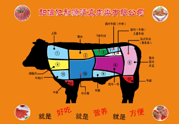 牛肉分割图