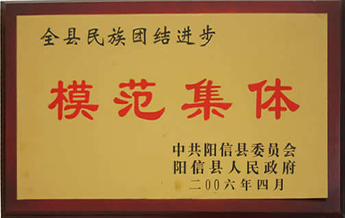 荣誉资质